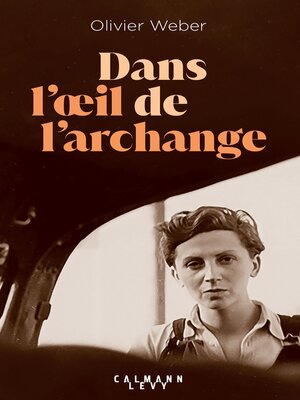 cover image of Dans l'oeil de l'archange